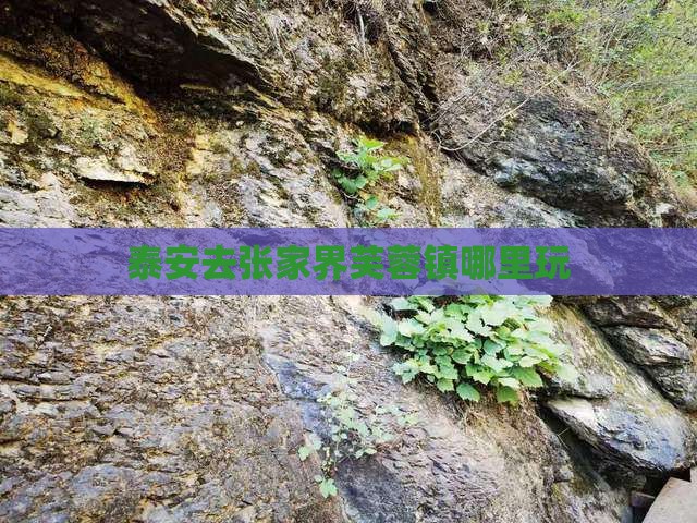 泰安去张家界芙蓉镇哪里玩