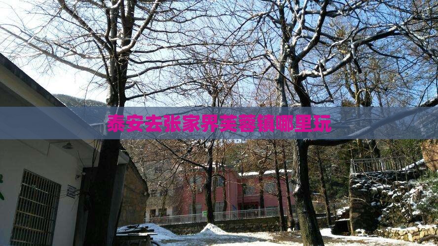 泰安去张家界芙蓉镇哪里玩