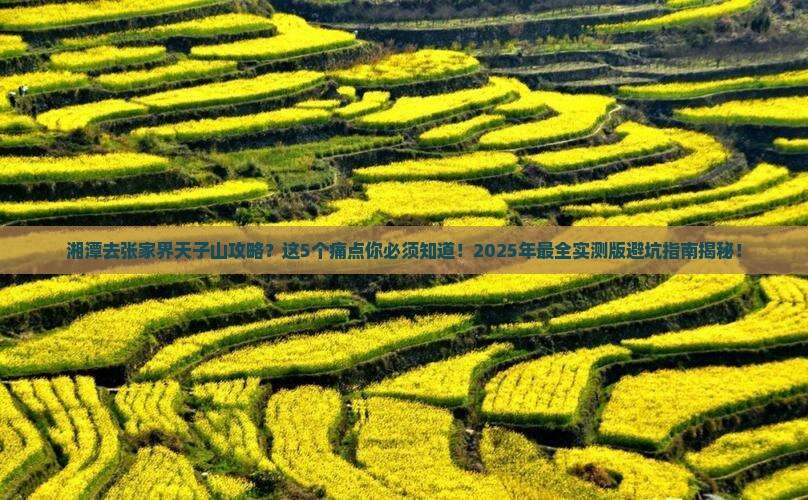 湘潭去张家界天子山攻略