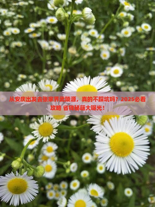 安庆到张家界武陵源景点