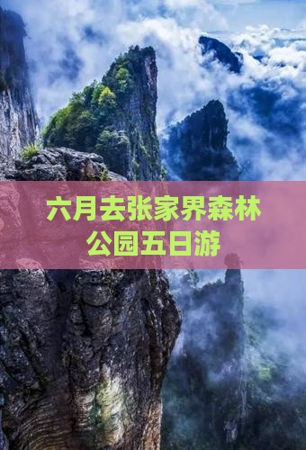 六月去张家界森林公园五日游