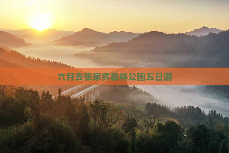 六月去张家界森林公园五日游