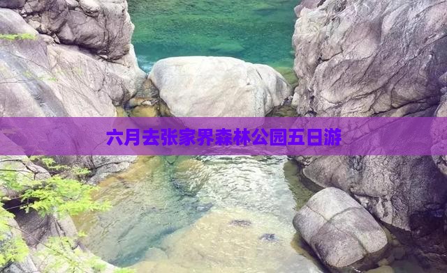 六月去张家界森林公园五日游