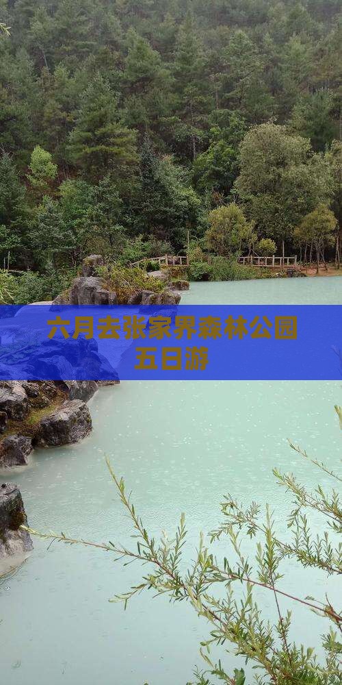 六月去张家界森林公园五日游
