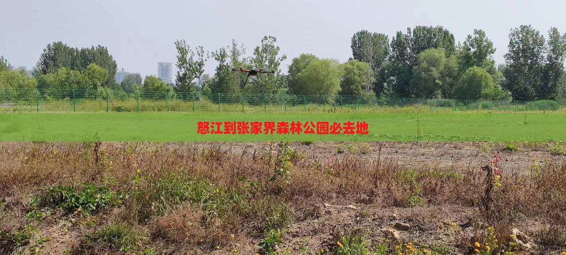 怒江到张家界森林公园必去地