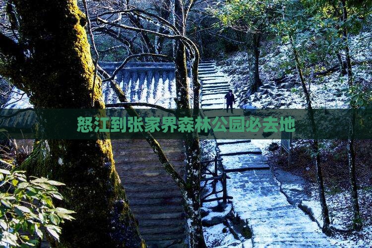 怒江到张家界森林公园必去地