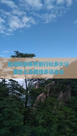 巢湖到张家界旅行社