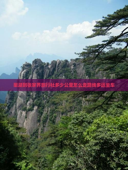 巢湖到张家界旅行社