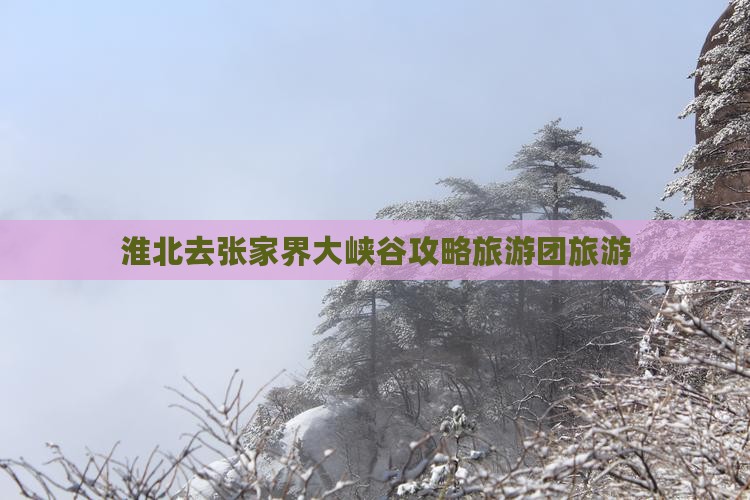 淮北去张家界大峡谷自由团