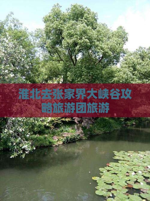 淮北去张家界大峡谷自由团