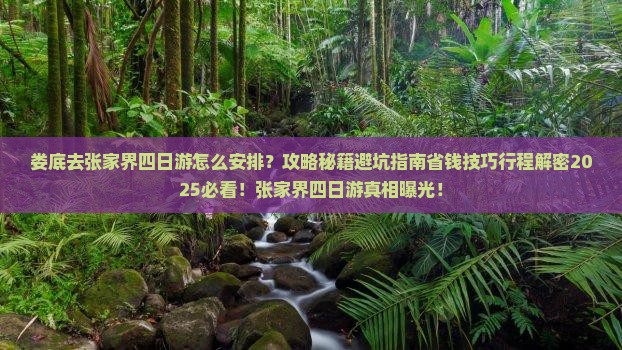 娄底去张家界四日游