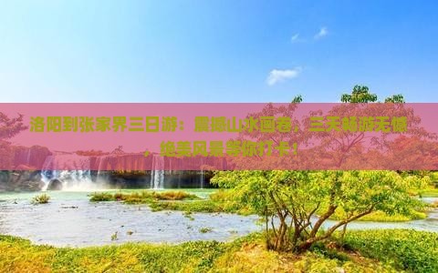 洛阳到张家界三日游