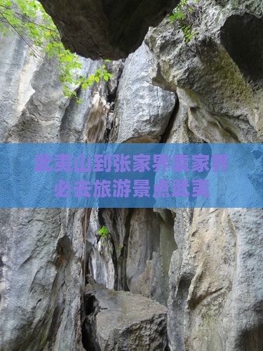 武夷山去张家界袁家界必去地