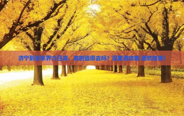 济宁到张家界六日游