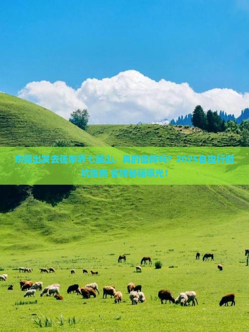 东莞到张家界七星山自由行