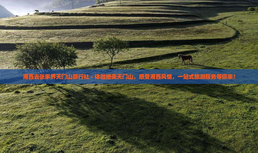 湘西去张家界天门山旅行社