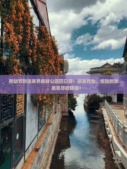 劳动节到张家界森林公园四日游