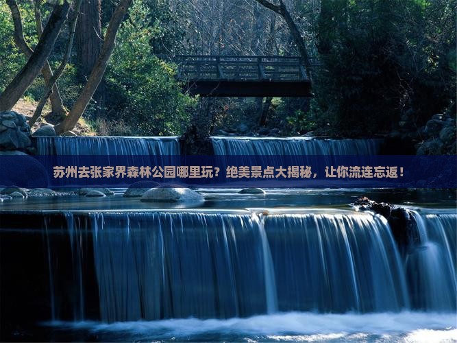 苏州去张家界森林公园哪里玩