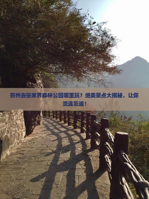 苏州去张家界森林公园哪里玩