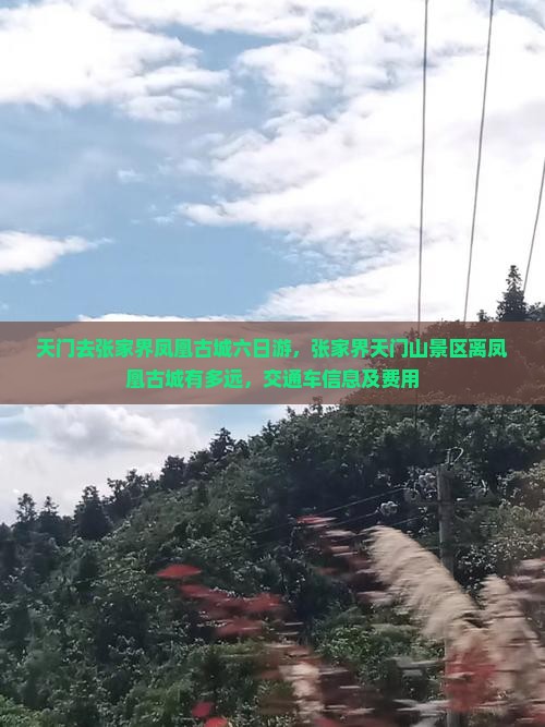天门去张家界凤凰古城六日游