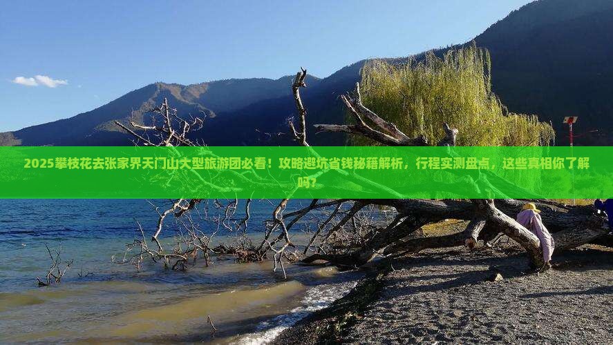 攀枝花去张家界天门山大型旅游团
