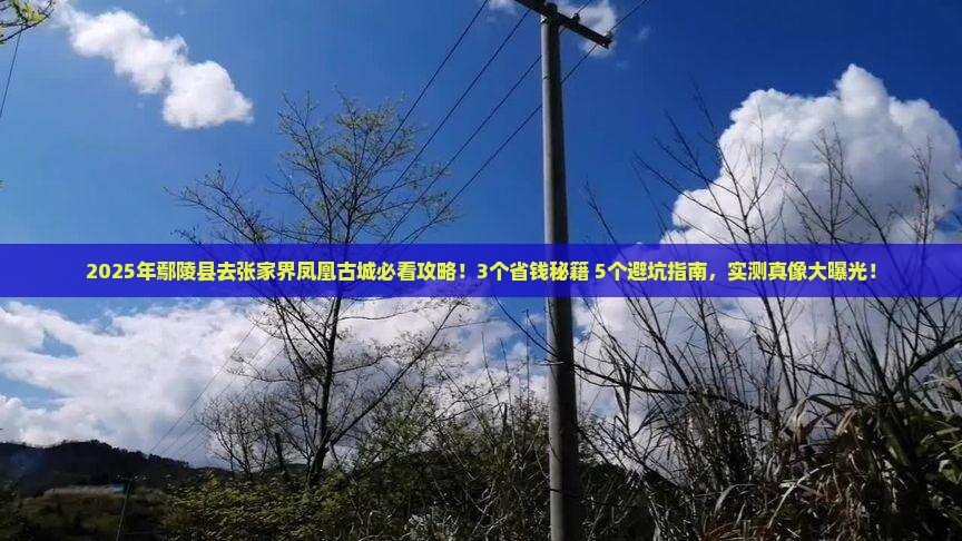 鄢陵县去张家界凤凰古城旅行社