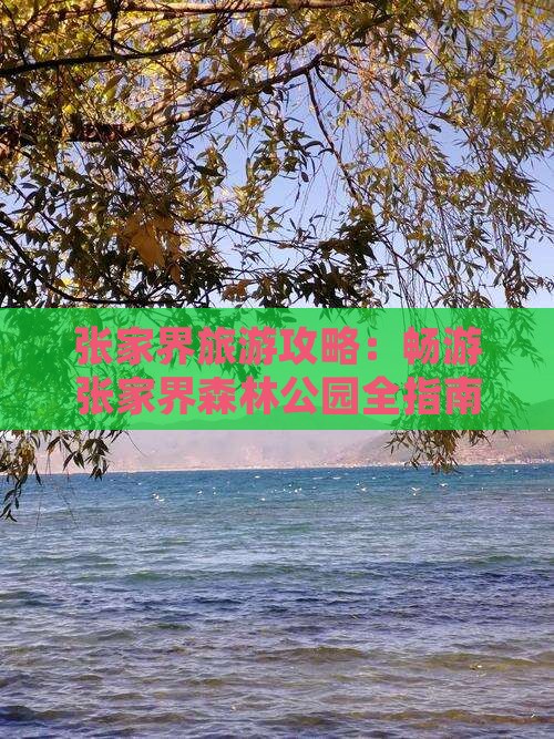 中秋节到张家界森林公园旅游