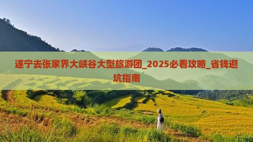 遂宁去张家界大峡谷大型旅游团