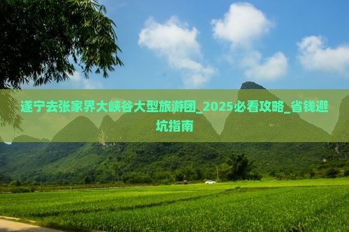 遂宁去张家界大峡谷大型旅游团