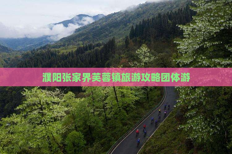 濮阳去张家界芙蓉镇团体旅游