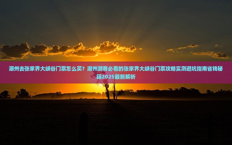 潮州去张家界大峡谷门票