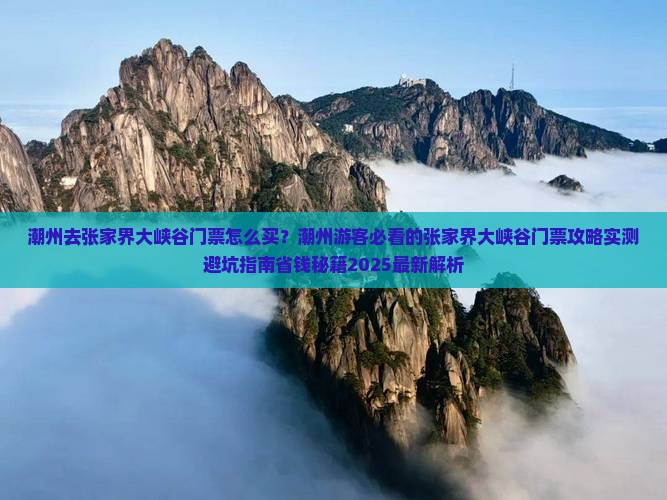 潮州去张家界大峡谷门票