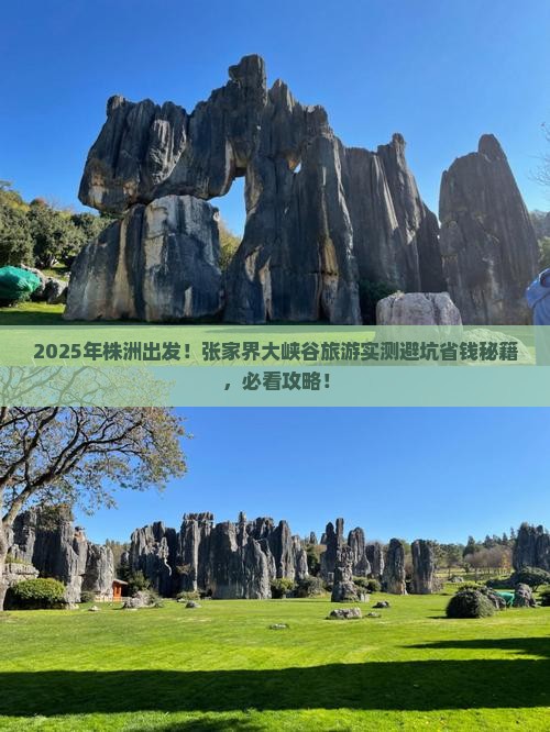 株洲到张家界大峡谷旅游