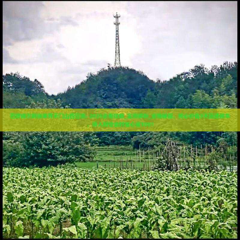 巴彦倬尔到张家界天门山四日游