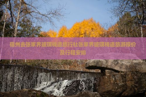 宿州去张家界玻璃栈道旅行社