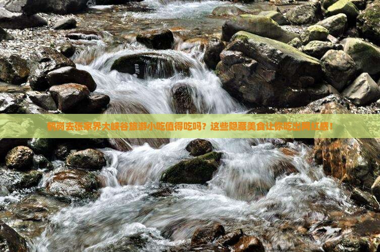 鹤岗去张家界大峡谷旅游小吃