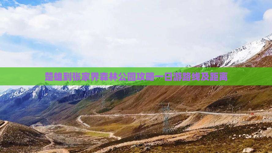 楚雄到张家界森林公园攻略