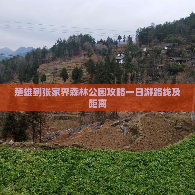楚雄到张家界森林公园攻略