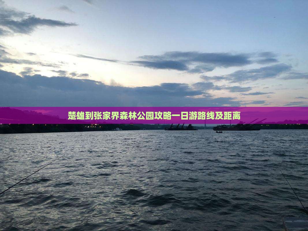 楚雄到张家界森林公园攻略