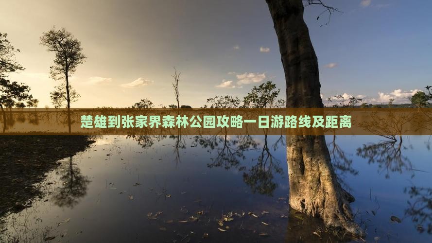 楚雄到张家界森林公园攻略