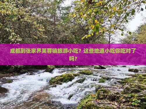 成都到张家界芙蓉镇旅游小吃