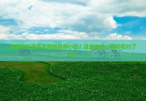 成都到张家界芙蓉镇旅游小吃