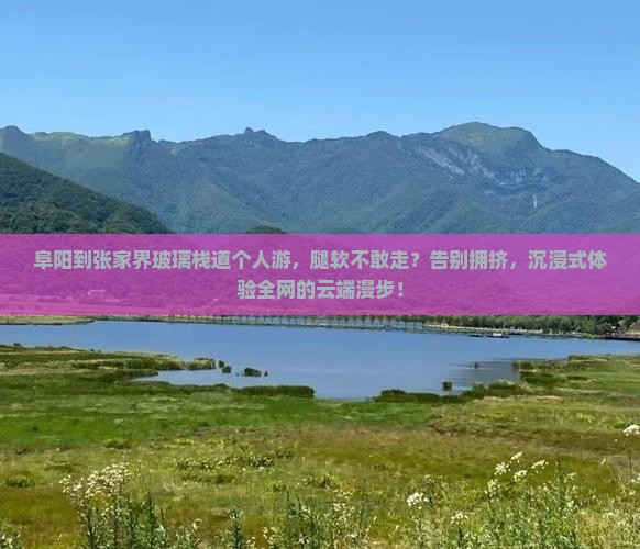 阜阳到张家界玻璃栈道个人游