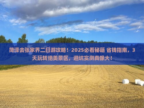 菏泽去张家界二日游