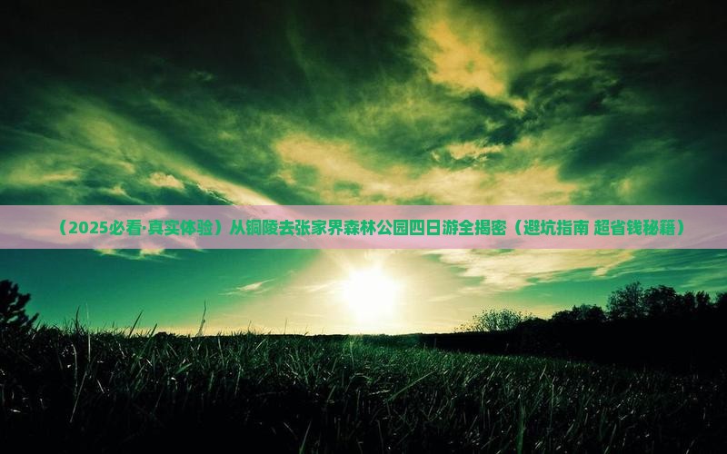 铜陵到张家界森林公园四日游