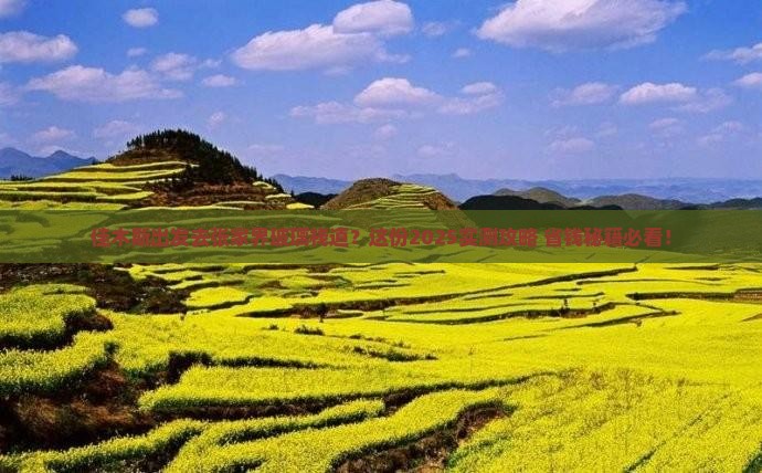 佳木斯去张家界玻璃栈道必去地
