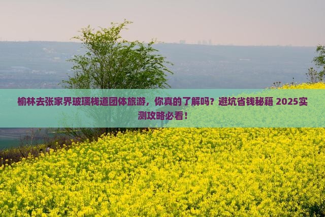 榆林去张家界玻璃栈道团体旅游