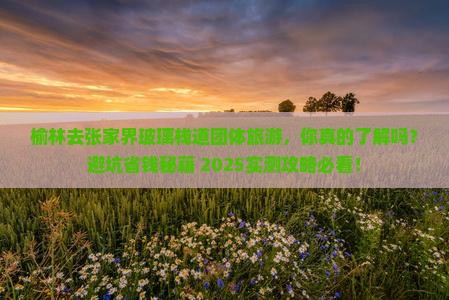 榆林去张家界玻璃栈道团体旅游