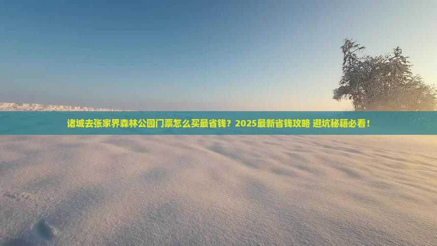 诸城去张家界森林公园门票