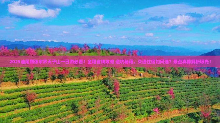 汕尾到张家界天子山一日